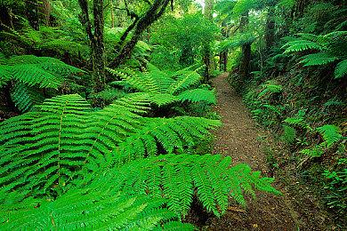 《潜行者2》新视频展示对抗强盗＆变种人的枪战场面