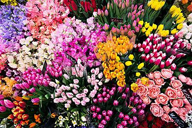 《星空》群星同伴配音演员曾为主角配音 但最终被B社取消