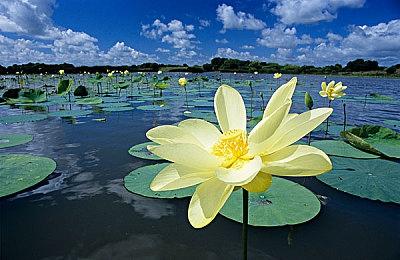 清版动作肉鸽游戏《怪兽快跑》现已在Steam平台推出试玩Demo